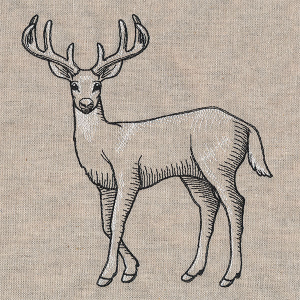 Wild Deer Etching