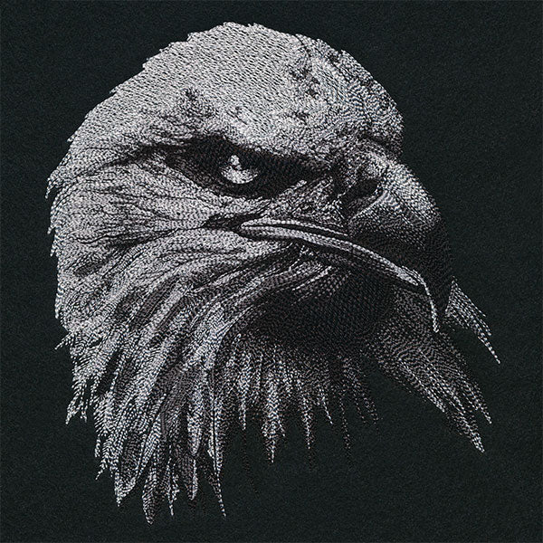 Etching Bald Eagle