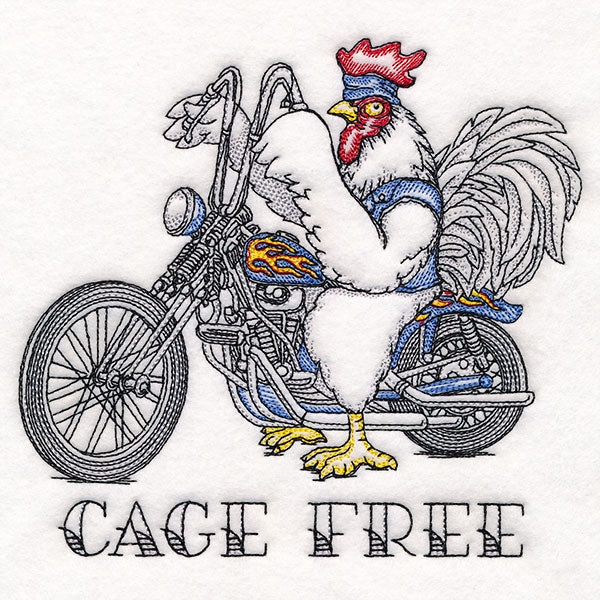 Cage Free Chicken