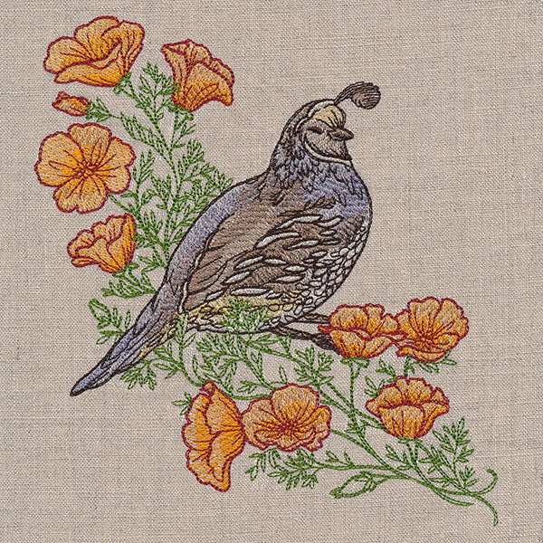 Happy Quail and Poppies
