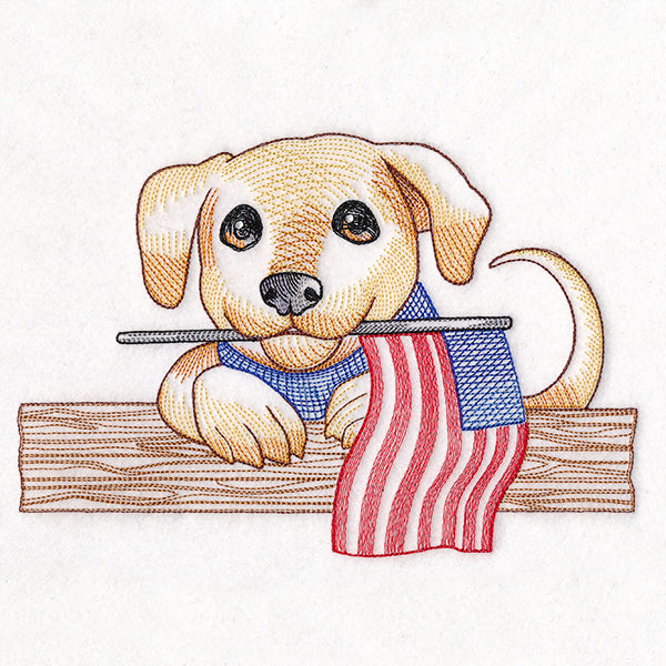 Americana Puppy