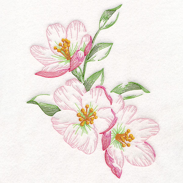 Sheer and Elegant Peony Corner 2