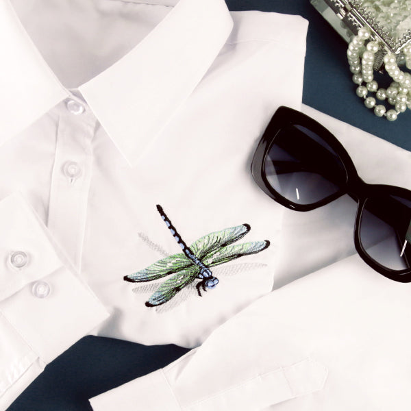 Nature's Simple Dragonfly