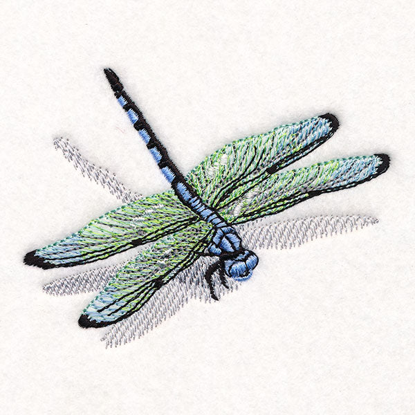 Nature's Simple Dragonfly