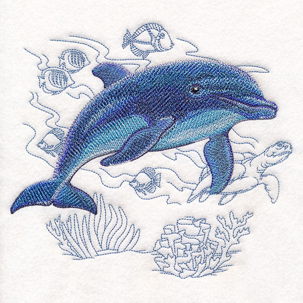 Under the Sea Dolphin Echo