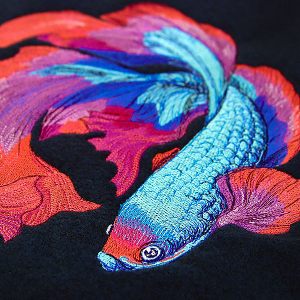 Betta Fish in Full Color