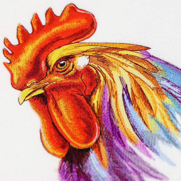 Lively Rooster in Watercolor