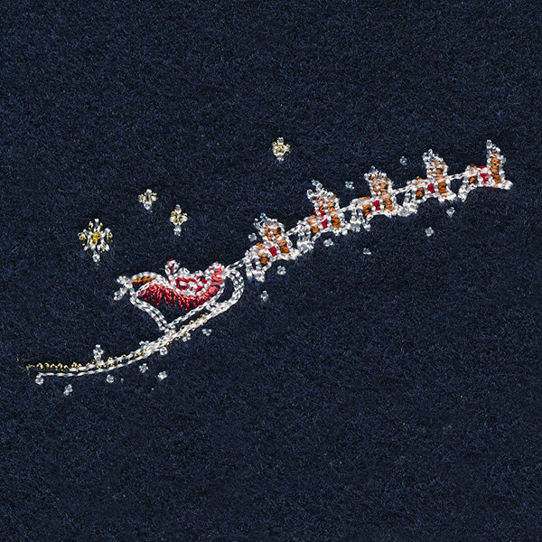 Midnight Christmas Garden - Santa's Flight