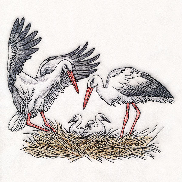 Family Time in the Stork Nest