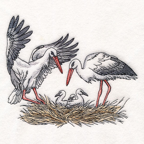 Family Time in the Stork Nest