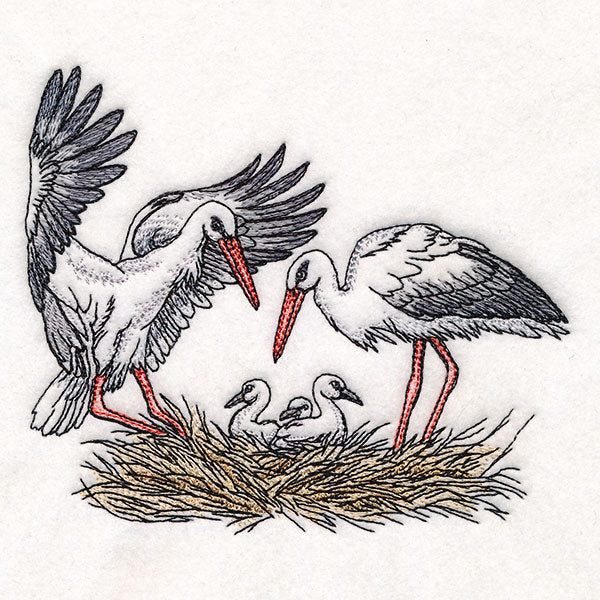 Family Time in the Stork Nest