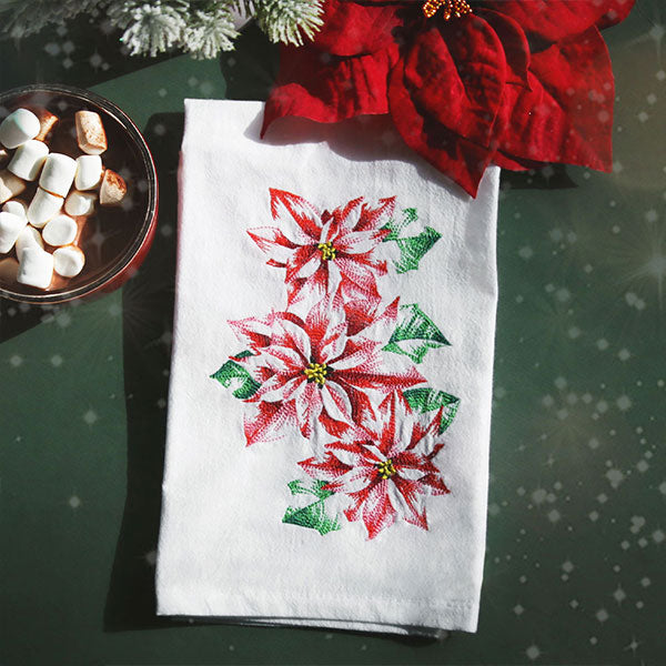 Contours of Beauty Poinsettias