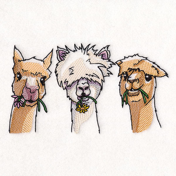 Sweet & Sassy Alpaca Trio