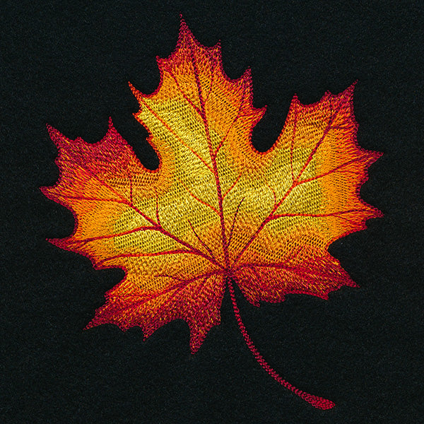 Autumn Fire Maple Leaf