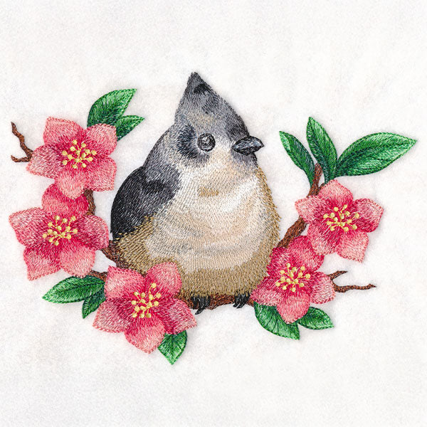 Black Crested Titmouse & Cherry Blossoms