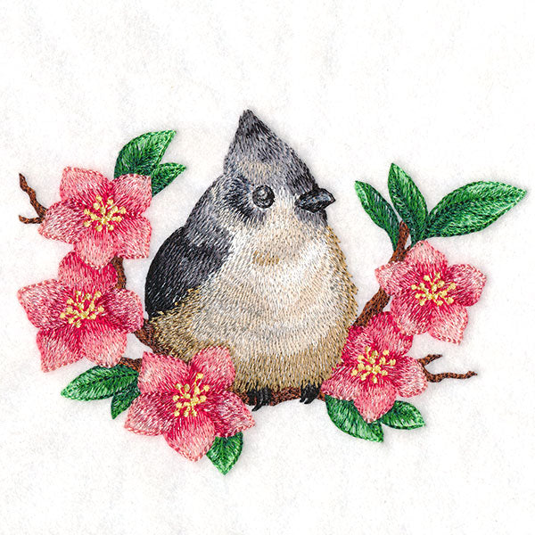 Black Crested Titmouse & Cherry Blossoms