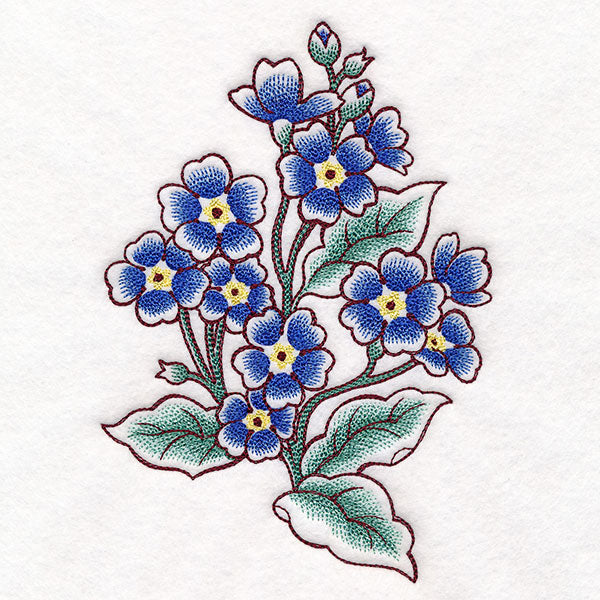 English Primrose in Bloom