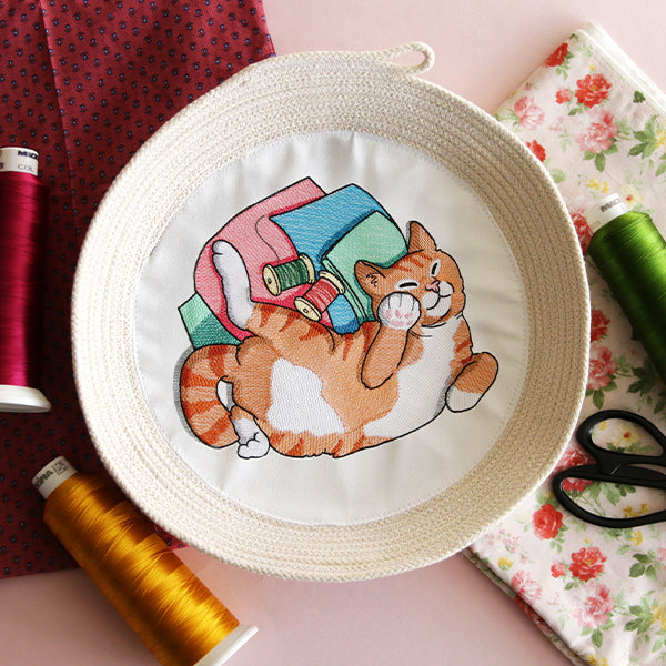 Sleeping on Fabric Kitty