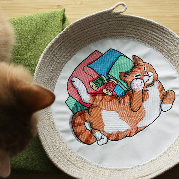 Sleeping on Fabric Kitty