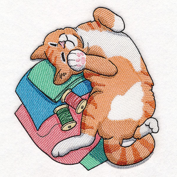 Sleeping on Fabric Kitty