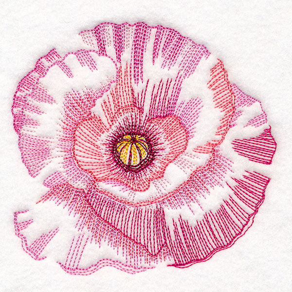 Contours of Beauty Poppy