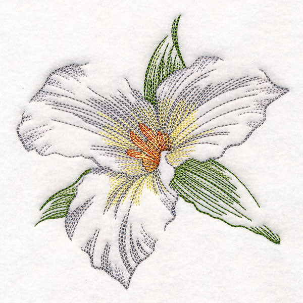 Contours of Beauty Trillium