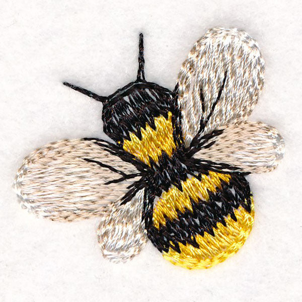 Sweet as Can Be - Bee