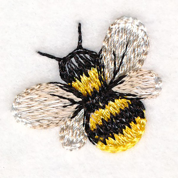 Sweet as Can Be - Bee