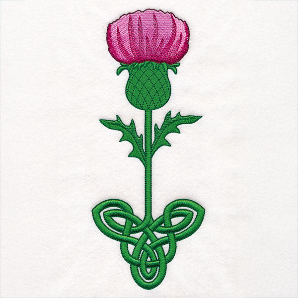 Celtic Knotwork Florals - Thistle