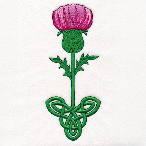 Celtic Knotwork Florals - Thistle