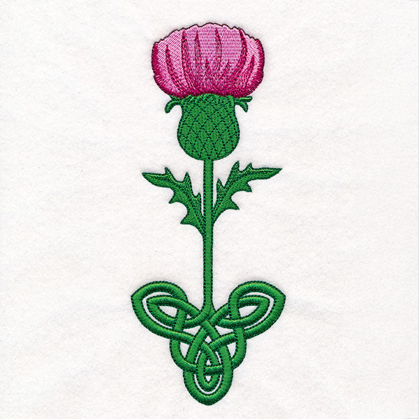 Celtic Knotwork Florals - Thistle