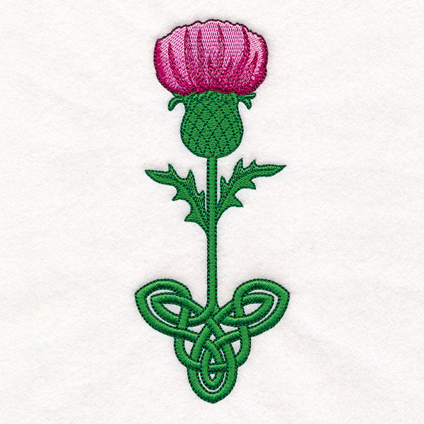 Celtic Knotwork Florals - Thistle
