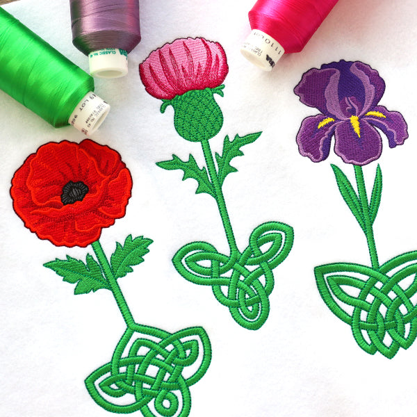 Celtic Knotwork Florals - Iris