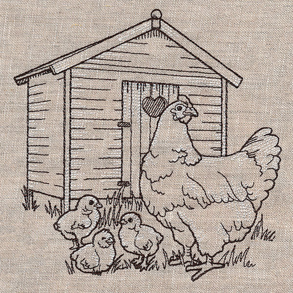 Hen and Chicks at the Chicken Coop Etching