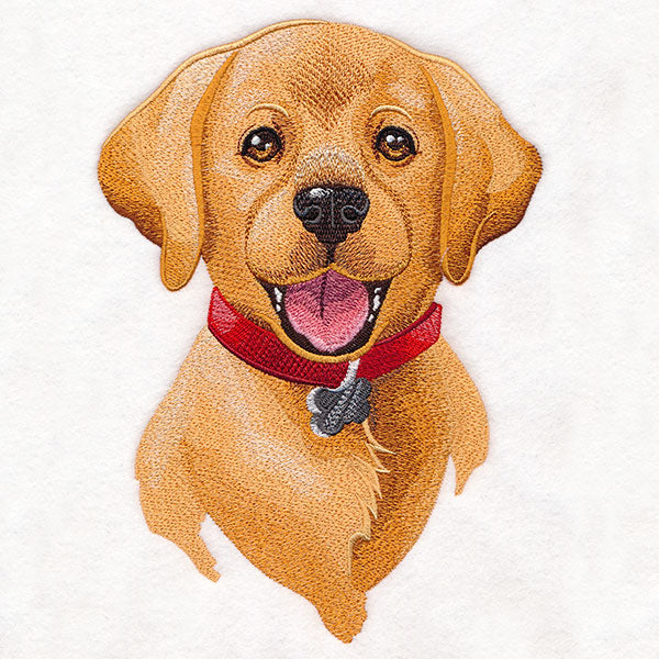 Cheerful Puppy Portrait