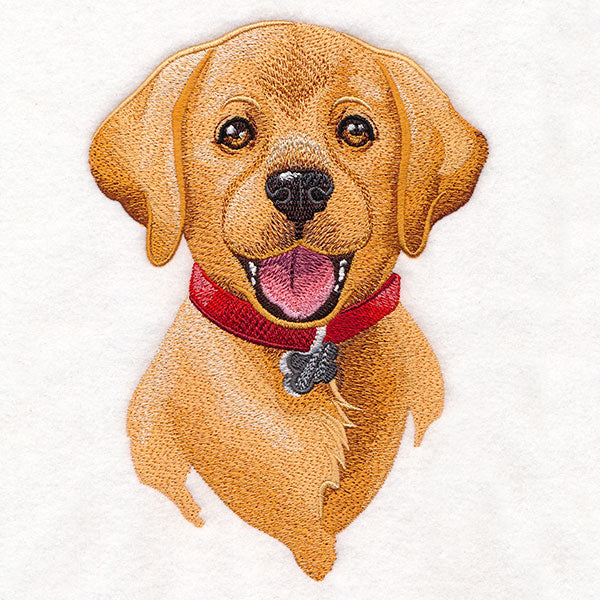Cheerful Puppy Portrait