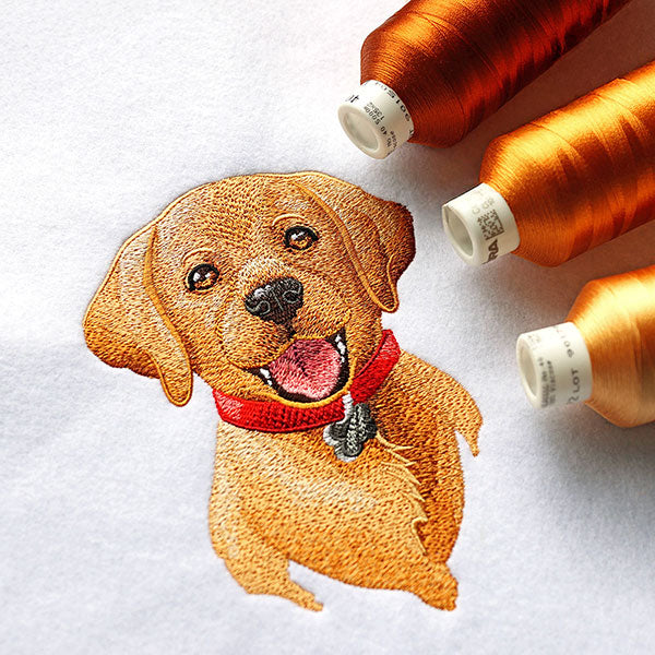 Cheerful Puppy Portrait