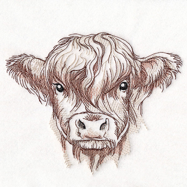 Elusive Highland Cow Portrait