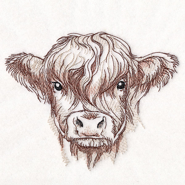 Elusive Highland Cow Portrait