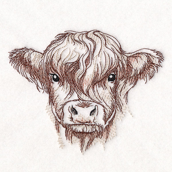 Elusive Highland Cow Portrait