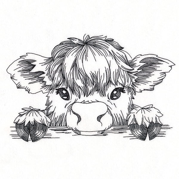 Peeking Highland Cow Sketch