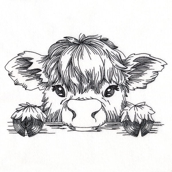 Peeking Highland Cow Sketch