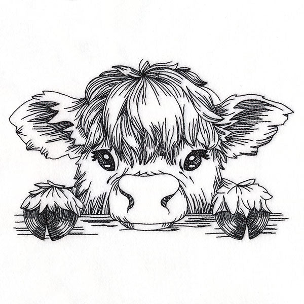 Peeking Highland Cow Sketch