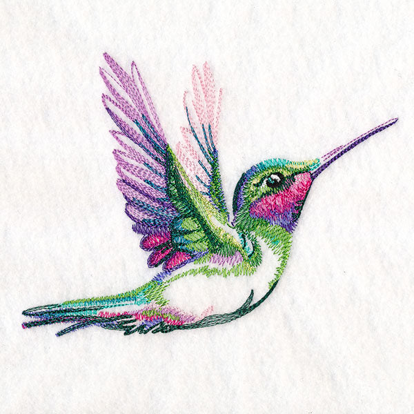 Radiant Hummingbird Flight
