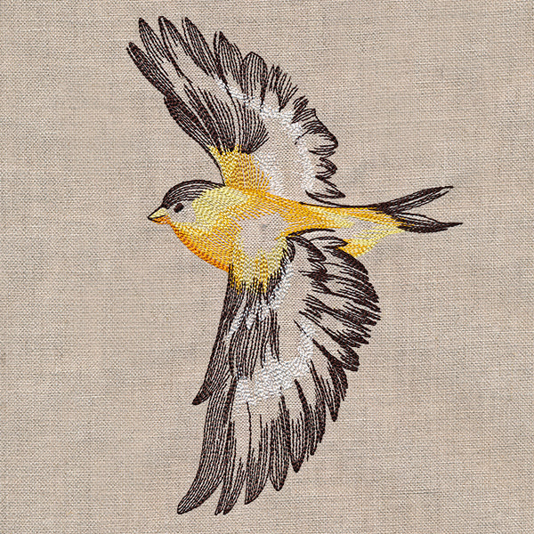 Contours of Beauty Goldfinch