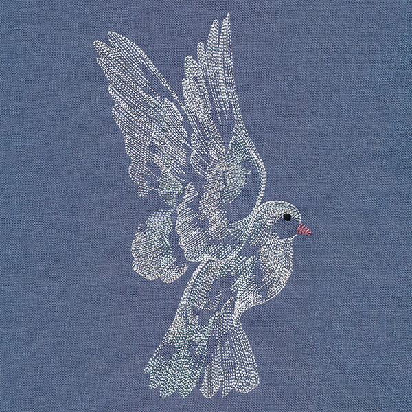 Contours of Beauty Dove