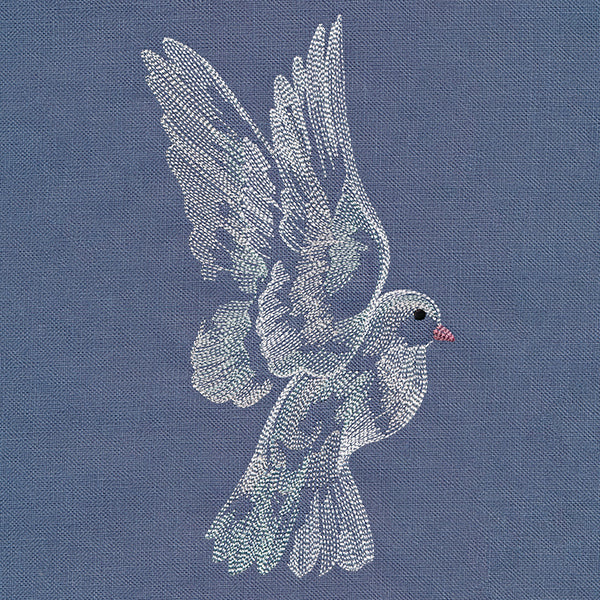 Contours of Beauty Dove