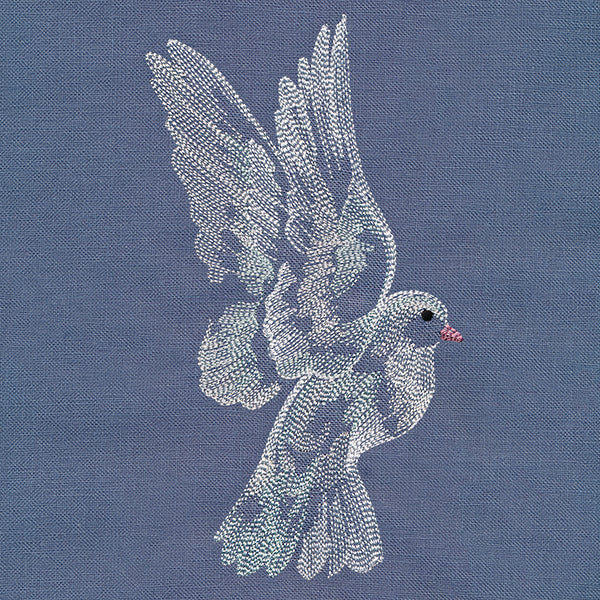 Contours of Beauty Dove