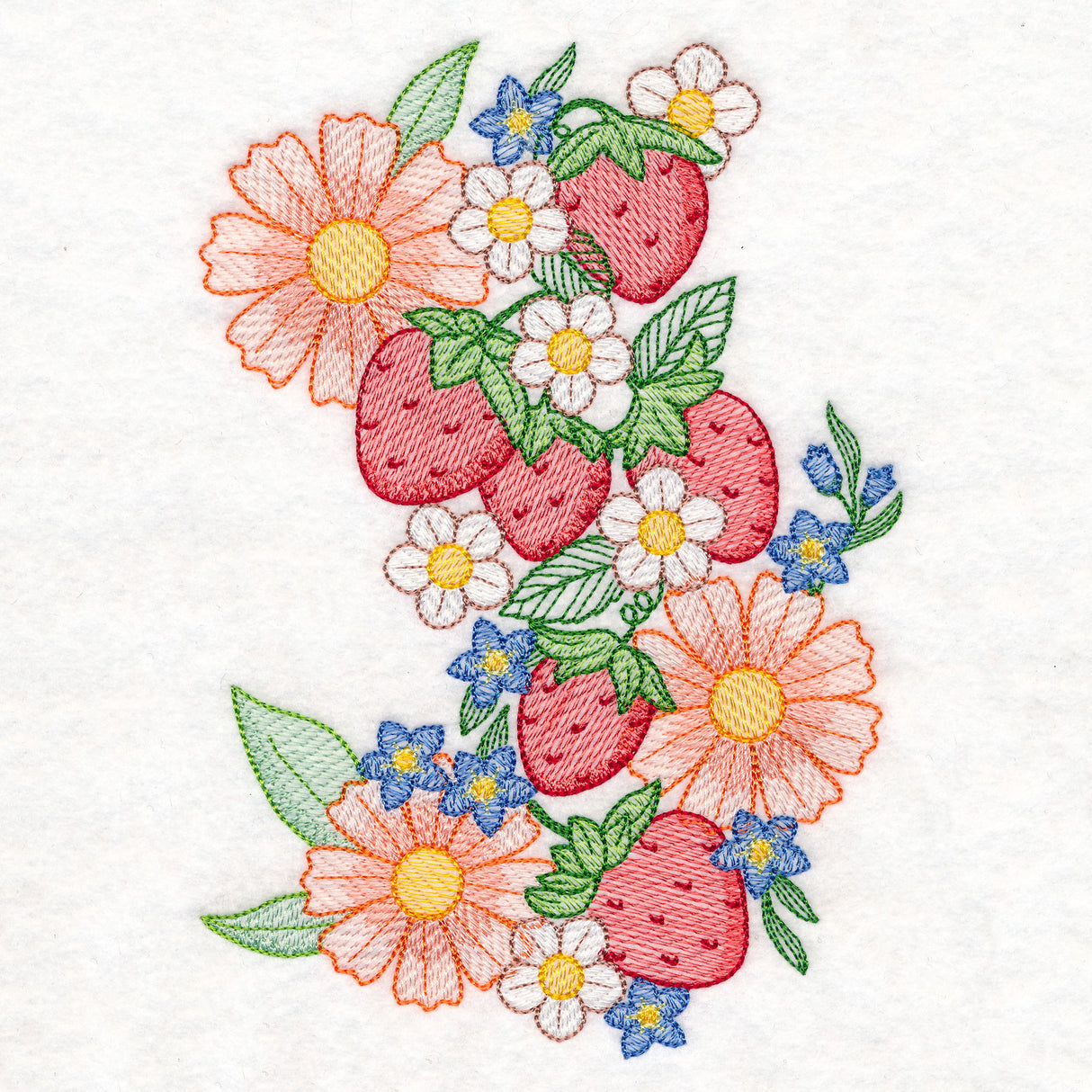 Summer Fruit Garden - Strawberries