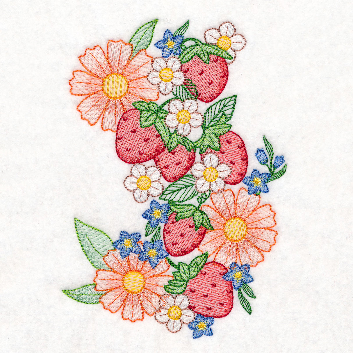 Summer Fruit Garden - Strawberries